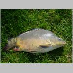 Popelov 17.9.2008 -46.jpg